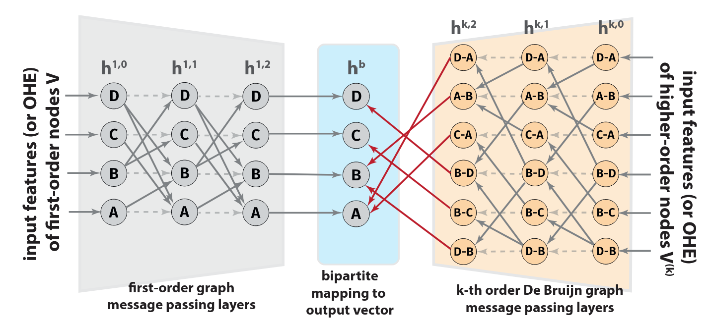 Illustration of DBGNN architecture